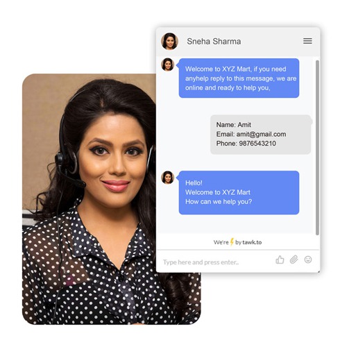 Pre-Integrated Chat BOT for Customer Support
